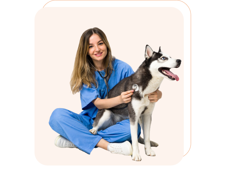 Emergency Veterinary Services - Pet Point Veterinary Clinic